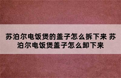 苏泊尔电饭煲的盖子怎么拆下来 苏泊尔电饭煲盖子怎么卸下来